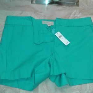 Banana Republic Hampton Fit Aqua Short